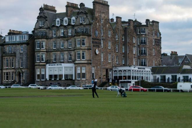 43856f0cb63142f4b5b9bf3f6bb4a88e_LARGE 2.jpg